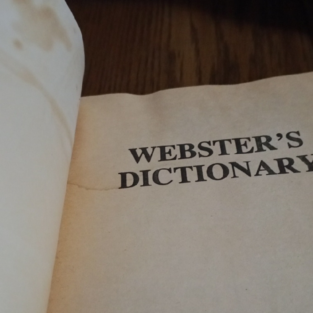Dictionary - Red Edition - Picture 3 of 5